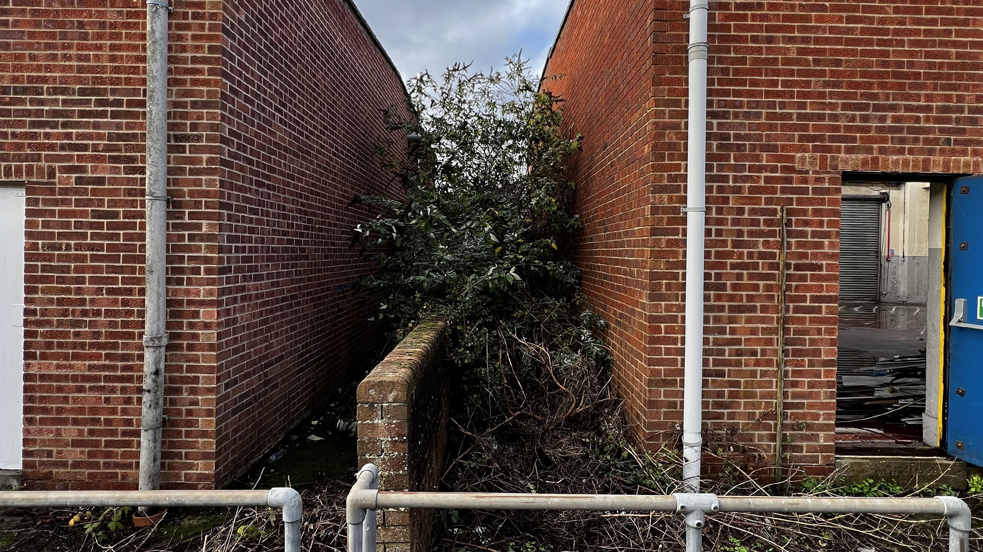 Who Should You Contact First — The Council, a Surveyor, or Your Neighbour York?